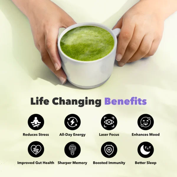 Matcha + - Image 5